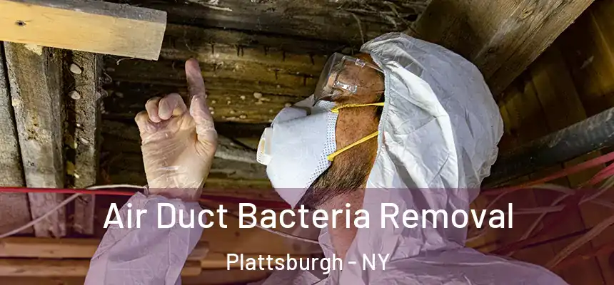  Air Duct Bacteria Removal Plattsburgh - NY