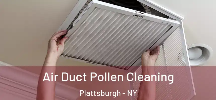  Air Duct Pollen Cleaning Plattsburgh - NY