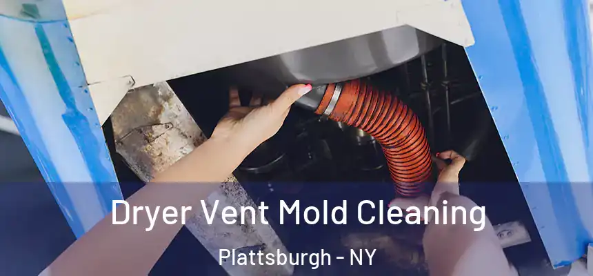  Dryer Vent Mold Cleaning Plattsburgh - NY