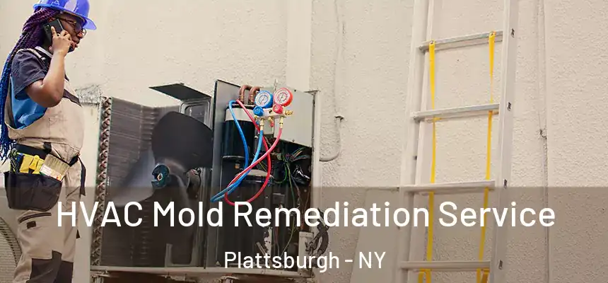  HVAC Mold Remediation Service Plattsburgh - NY