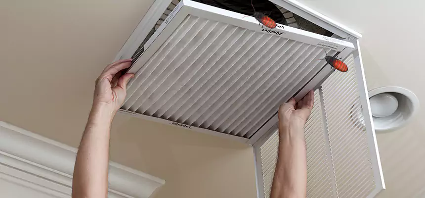 Preventive Cockroach-Proofing for Ducts in Plattsburgh