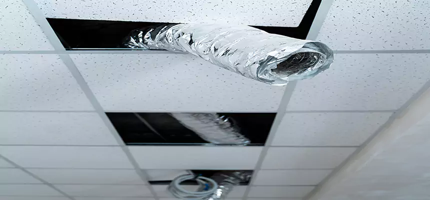 Affordable HVAC Sanitizing After Pest Removal in Plattsburgh