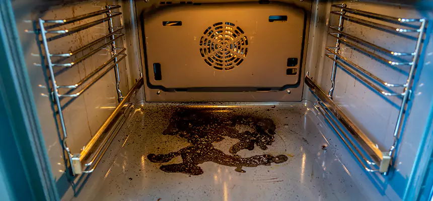 Our Dryer Vent Mold Cleaning Services in Plattsburgh, NY