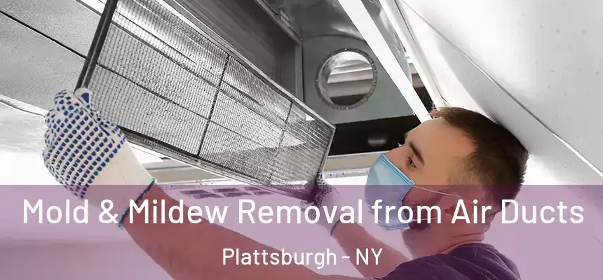 Mold & Mildew Removal from Air Ducts Plattsburgh - NY