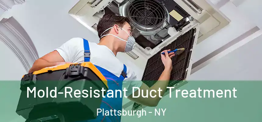  Mold-Resistant Duct Treatment Plattsburgh - NY