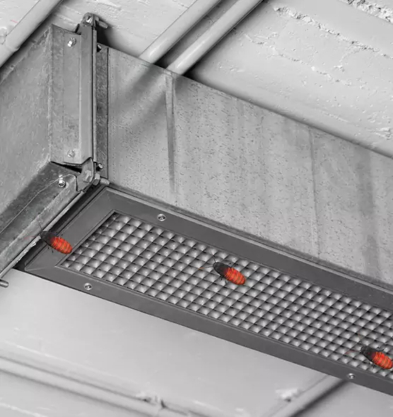 About Air Duct Cockroach Removal in Plattsburgh, NY
