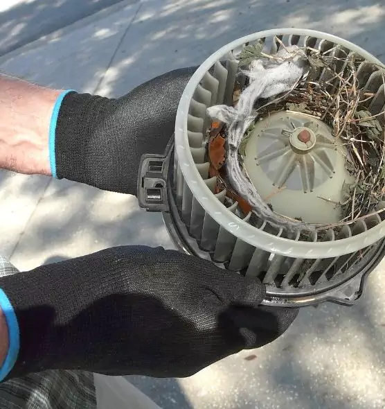 About Air Duct Mice Removal in Plattsburgh, NY