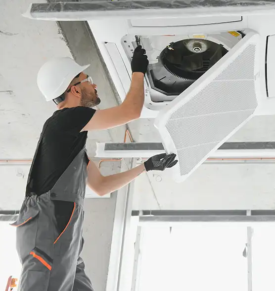 About Air Duct Rodent Removal in Plattsburgh, NY