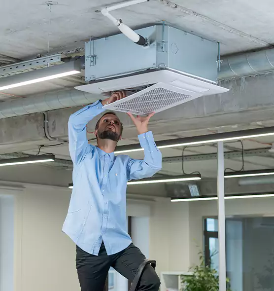 Advanced Rodent Droppings In Vents in Plattsburgh, NY
