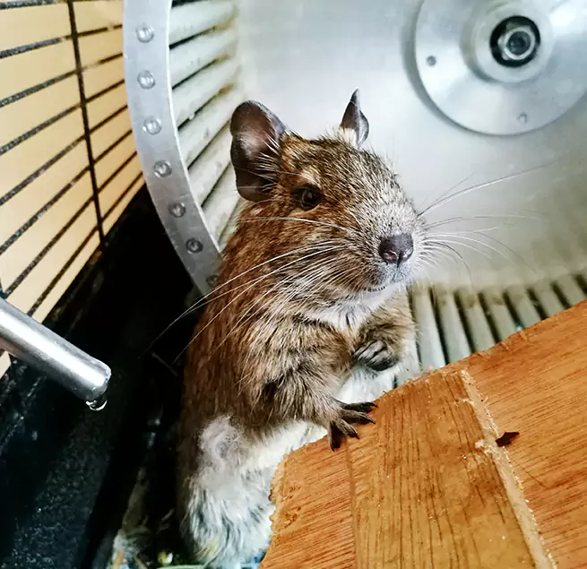 Why Homeowners & Businesses Trust Us Plattsburgh, NY?