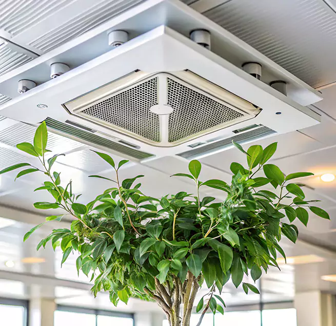 Why Homeowners & Businesses Trust Us in Plattsburgh, NY?